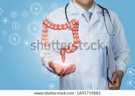 Doctor shows the colon of a person on a blue background.