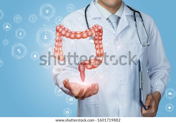 Doctor\
shows the colon of a person on a blue\
background.