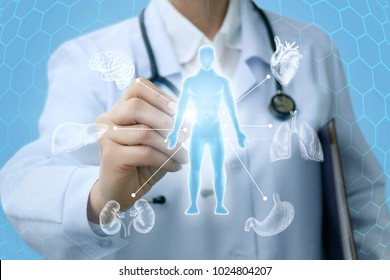 Doctor shows a hologram and the internal organs of a person.