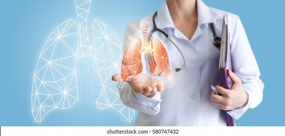 Doctor Shows Human Lungs.