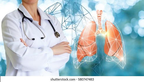 Doctor Shows Human Lungs Stock Photo 580747483 | Shutterstock