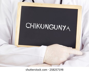 Doctor Shows Information On Blackboard: Chikungunya