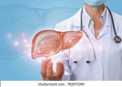 Doctor shows liver in hand on a blue background.