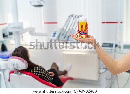 Doctor shows on a plastic jaw sample or model different methods of teeth treatment. Modern dental clinic background. Pink medical gloves on doctor's hands. Dental hygiene and health concept. 