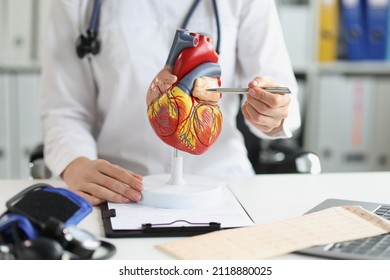 The Doctor Shows A Plastic Model Of The Heart, Close-up