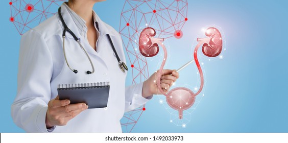 Doctor shows urinary system and problems in the ureter on a blue background. - Shutterstock ID 1492033973