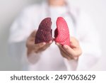 Doctor with Smoker and normal Lung anatomy for Disease. Lung Cancer, Asthma, Chronic Obstructive Pulmonary or COPD, Bronchitis, Emphysema, Cystic Fibrosis, Bronchiectasis, Pneumonia and world Lung day