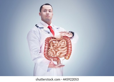 Doctor With Stethoscope And Digestive System On The Hands . Gray Background. High Resolution.