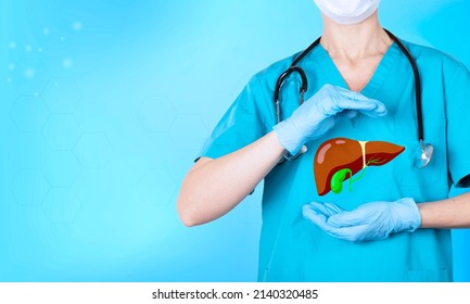 A doctor with a stethoscope holds a realistic human liver icon in his hands. The concept of awareness of the prevention of diseases of the internal organs. Copy space. High quality photo