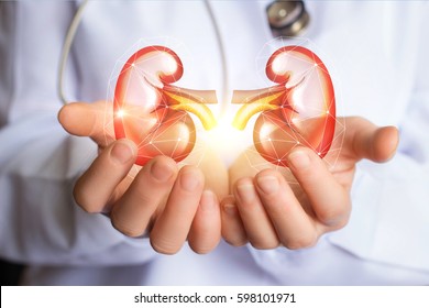 Doctor supports kidneys healthy concept design . - Shutterstock ID 598101971