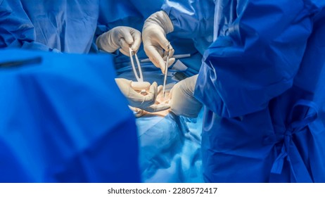 Doctor or surgeon did surgery of hernia mesh repair operation inside operating room in hospital. Open repair of inguinal hernia in groin mass patient.Medical mesh device was use with blur background.