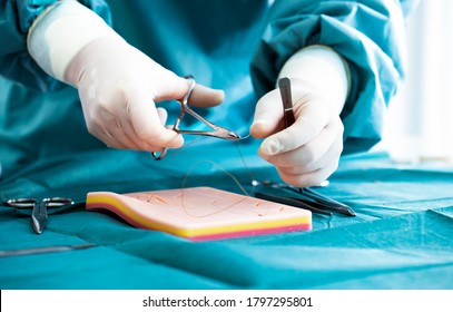 Doctor teaches the technique of suturing and closure on silicone pad. Doctor teaching and suturing practice in basic skills on skin silicone pad. Simple interrupted suture. Vertical mattress suture. - Shutterstock ID 1797295801
