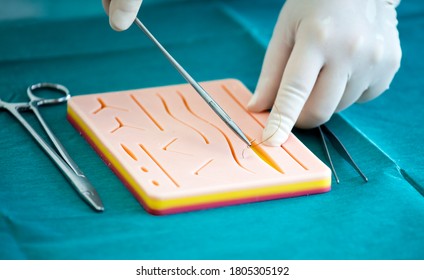 Doctor teaches the technique of suturing and closure on silicone pad. Doctor teaching and suturing practice in basic skills on skin silicone pad. Simple interrupted suture. Vertical mattress suture. - Shutterstock ID 1805305192