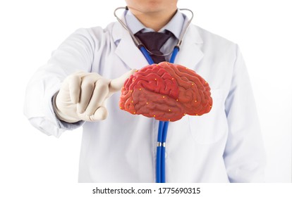 doctor touch check 3D brain , concept brain disease