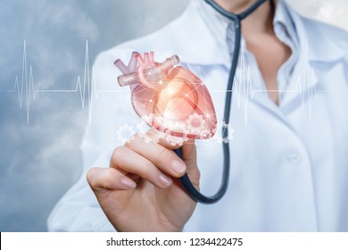 A doctor is touching a heart model with her stethoscope with the cardiac waveform at the foreground. The concept is the heart working process principle.