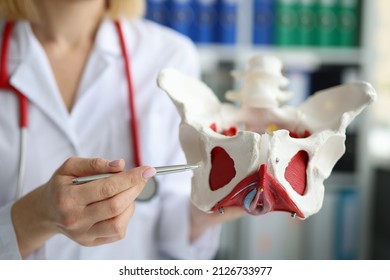 Doctor traumatologist demonstrating bones of pelvis to students in clinic closeup - Shutterstock ID 2126733977