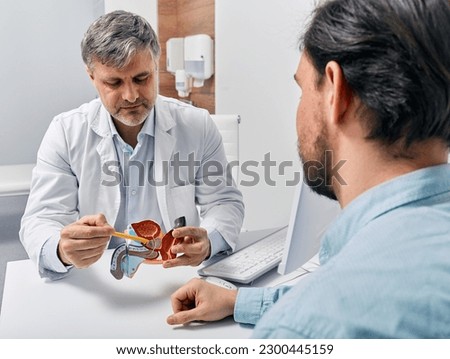 Doctor urologist consulting patient with prostatitis, explaining to him methods of treatment using anatomical model of male reproductive system. Prostatitis treatment Stockfoto © 