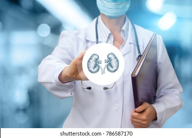 Doctor Urologist Shows The Icon With The Kidney On A Blue Background.