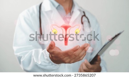 Doctor using digital technology to visualize female reproductive system and uterus health. Concept of gynecology, women healthcare, medical innovation, fertility care, diagnosis, and modern healthcare technology.