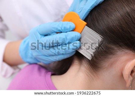 Doctor using nit comb on little girl's hair indoors. Anti lice treatment