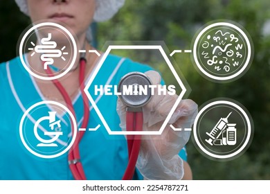 Doctor using virtual touchscreen presses word: HELMINTHS. Helminths treatment concept. Intestine, stomach doctors examine, treat dysbiosis, give medical supplies against worms.