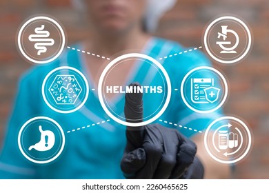 Doctor using virtual touchscreen presses word: HELMINTHS. Concept of helminth treatment. Intestine, stomach doctors examine, treat dysbiosis, give medical supplies against worms.