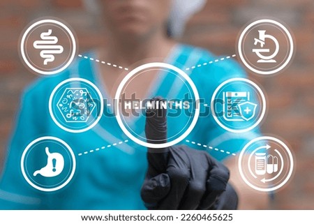 Doctor using virtual touchscreen presses word: HELMINTHS. Concept of helminth treatment. Intestine, stomach doctors examine, treat dysbiosis, give medical supplies against worms.