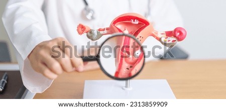 Doctor with Uterus and Ovaries anatomy model and magnifying glass. Ovarian and Cervical cancer, Cervix disorder, Endometriosis, Hysterectomy, Uterine fibroids, Reproductive system, Pregnancy