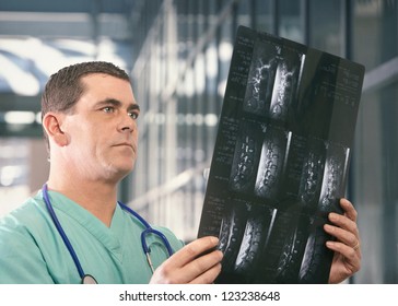Doctor Viewing Mri X-ray Of Spine And Backbone