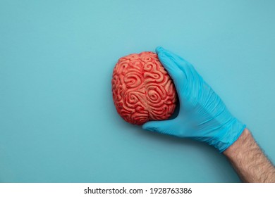 A doctor wearing blue surgical gloves holding a brain. Mental health concept