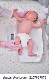 The Doctor Weighs A Newborn Baby On A Scale. Uniformed Nurse Taking Measurements Of The Child Weight