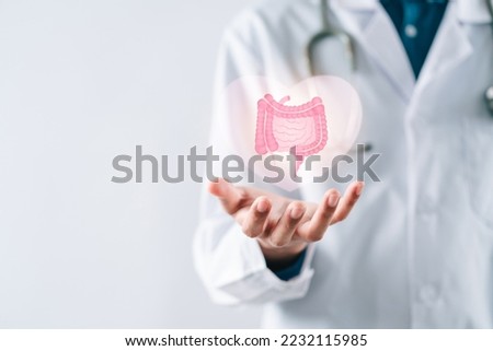 doctor in a white coat hands holding stomach with intestine virtual icon, probiotics food for gut health, colon cancer, bowel inflammatory. Health checkup concept.