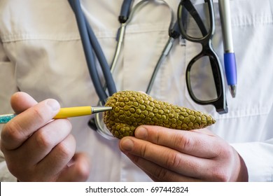 Doctor in white medical lab coat points ballpoint pen on anatomical model of human or animal pancreas. Concept photo for use for study of anatomy of pancreas gland, biology, medicine, veterinary - Shutterstock ID 697442824