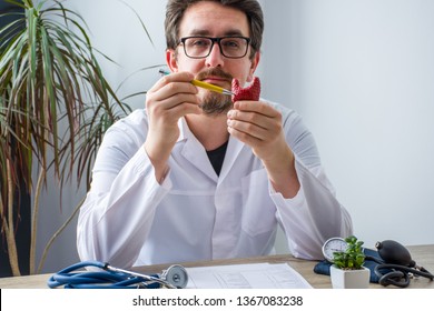 Doctor at workplace in office during appointment looks into camera, shows patient anatomic model of thyroid gland with focus on hand with organ. Professional medical diagnosis diseases of endocrine