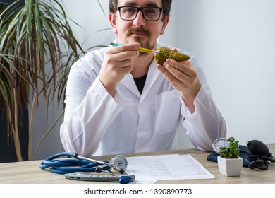 Doctor at workplace in office during appointment looks into camera, shows patient anatomic model of pancreas gland with focus on hand with organ. Professional medical diagnosis diseases of pancreas