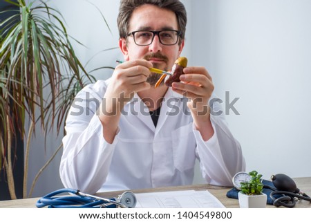 Doctor at workplace in office during appointment looks into camera, shows patient anatomic model of kidney and adrenal with focus on hand with organ. Professional medical diagnosis diseases of urinary