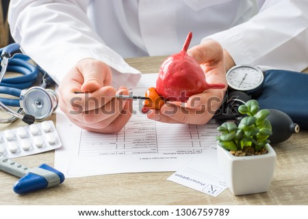 At doctors appointment physician shows to patient shape of prostate gland with focus on hand with organ. Scene explaining patient causes and localization of diseases of prostate, problems and signs
