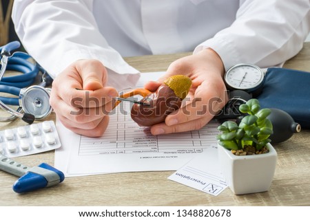 At doctors appointment physician shows to patient shape of kidney with focus on hand with organ. Scene explaining patient causes and localization of diseases of kidney, stones, adrenal, urinary system