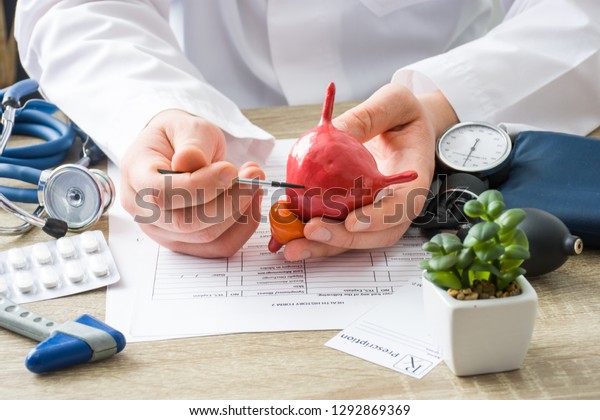 At doctors appointment physician shows to patient\
shape of urine bladder with focus on hand with organ. Scene\
explaining patient causes and localization of diseases of bladder\
and the urinary system