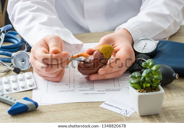 At doctors appointment physician shows to patient\
shape of kidney with focus on hand with organ. Scene explaining\
patient causes and localization of diseases of kidney, stones,\
adrenal, urinary system