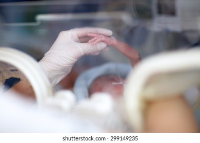 Doctor's gloved hand touching tiny hand of premature baby in incubator