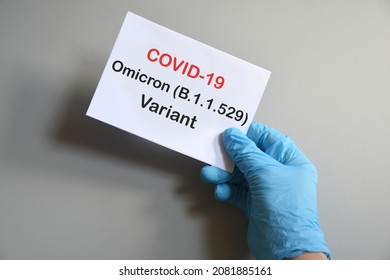 Doctor's hand in blue glove with white paper and text Covid-19 Omicron Variant. Concept of medical variety Omicron variant and COVID-19. COVID-19 omicron variant concept.