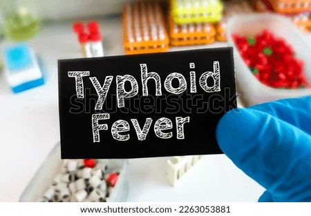 Doctor's hands in blue gloves shows the word typhoid fever. Medical concept. Sal