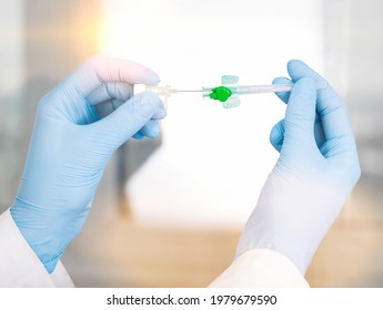 Doctor's hands hold a medical instrument cannula for veins against the background of a window with the sun. Concept of complex surgical operations, X-ray surgery, vascular surgery