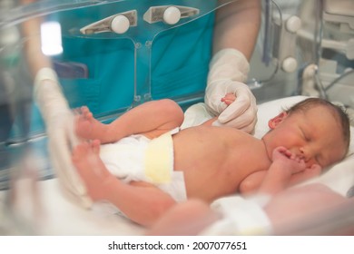 The Doctor's Hands In Rubber Gloves Are Holding The Small Fingers Of A Newborn Baby Who Is Lying In The Medical Box.