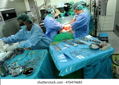 Doctors performed a liver transplant, Sofia, Bulgaria, 24.08.2016