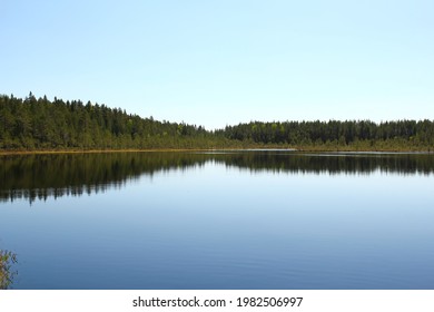 Documentary Of Everyday Life And Place. Forest Lake Summer Landscape. Summer Forest Lake Panorama.