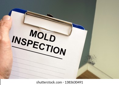 Documents about mold inspection with clipboard.