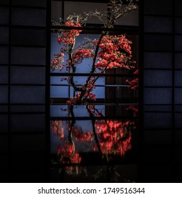 Dodandan Azalea In Buddism Temple In Kyoto Japan