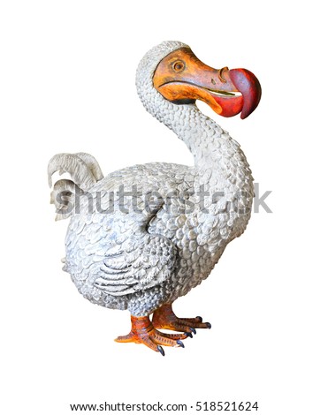 The Dodo (Raphus cucullatus) is an extinct flightless bird that was endemic to the island of Mauritius.